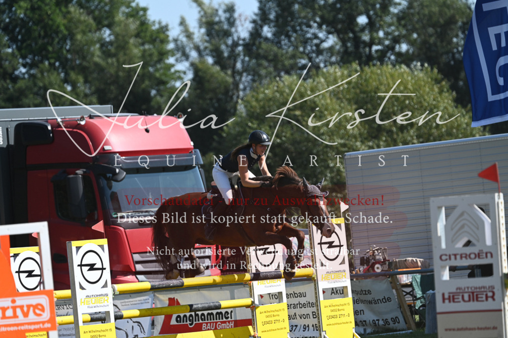 DSC_6473 | Pferde- und Turnierfotografie in Westsachsen. Pferdeportraits, Auftragszeichnungen und intuitive Kunst.