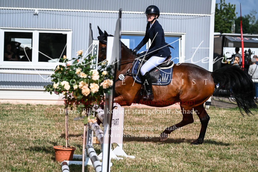 DSC_7865 | Pferde- und Turnierfotografie in Westsachsen. Pferdeportraits, Auftragszeichnungen und intuitive Kunst.