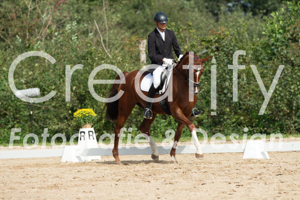 IMG_3316 | Creatify Fotografie