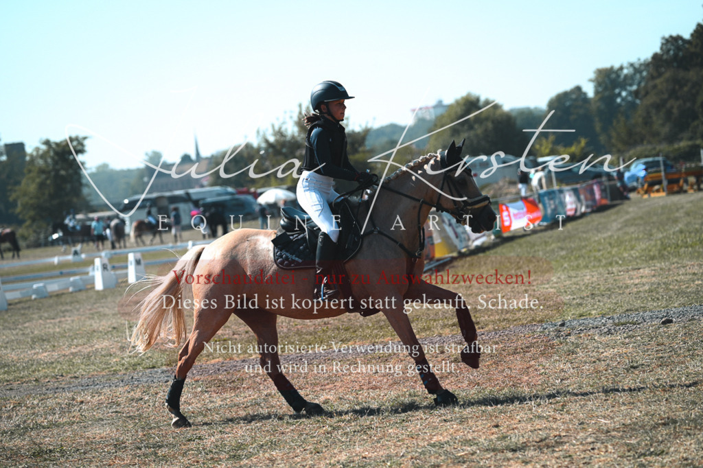 DSC_7929 | Pferde- und Turnierfotografie in Westsachsen. Pferdeportraits, Auftragszeichnungen und intuitive Kunst.
