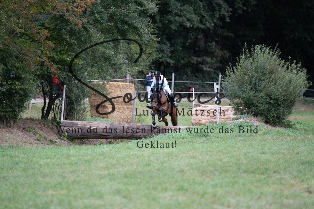 A7V00575 | Pferdefotograf