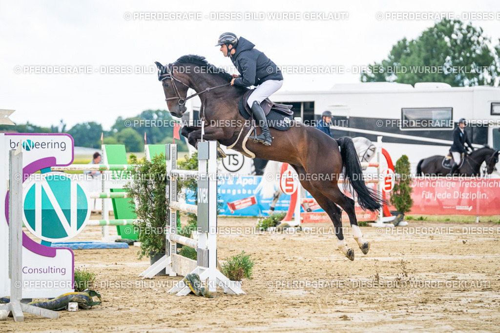 DSC05435 | Pferdegrafie