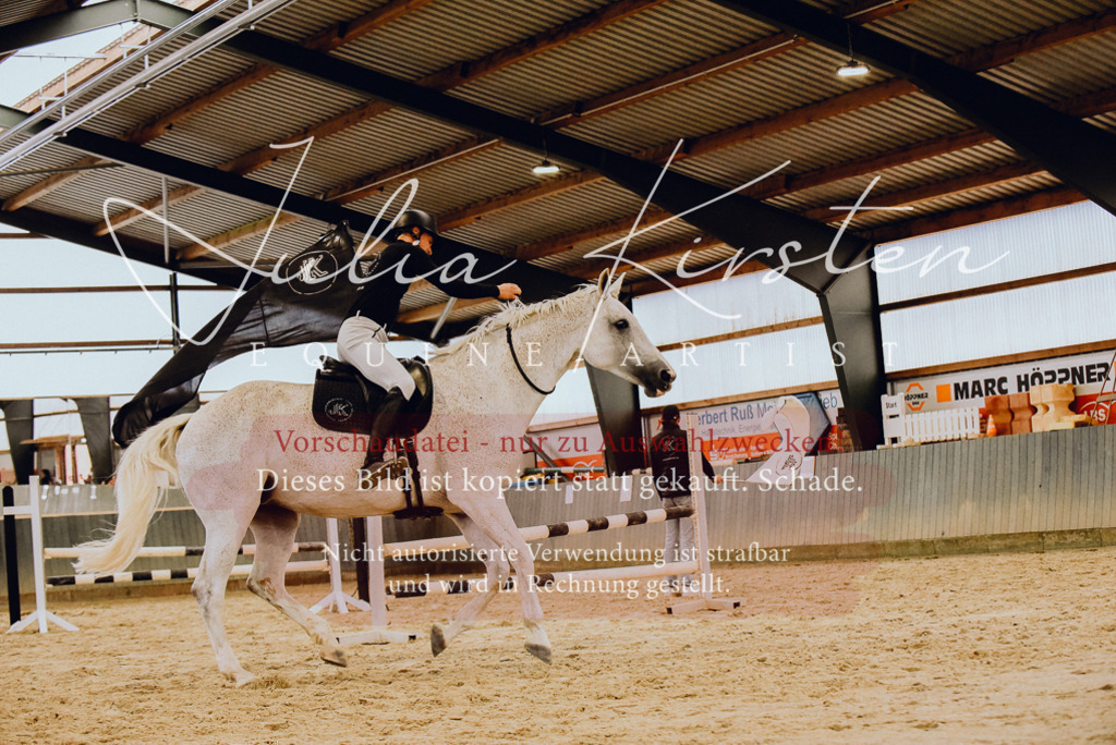 DSC_6983 | Pferde- und Turnierfotografie in Westsachsen. Pferdeportraits, Auftragszeichnungen und intuitive Kunst.