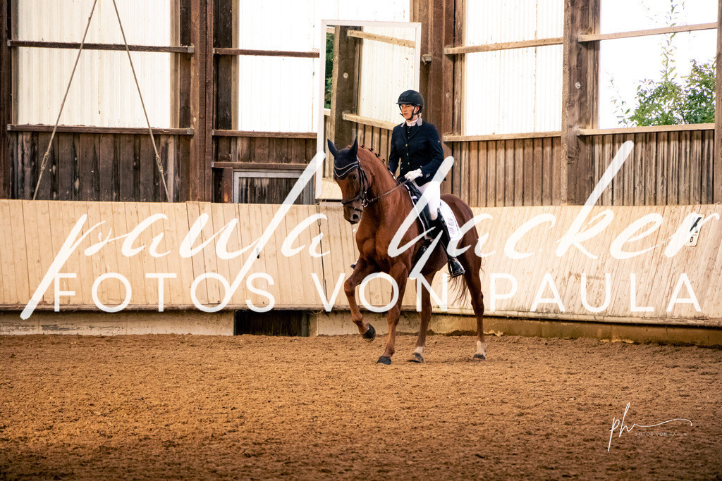 IMG_2101 | Erleben Sie dynamische Sport- und emotionale Tierfotografie in Süddeutschland mit Fotos von Paula. Spezialisiert auf Pferde- und Hundefotografie sowie Sportevents. Kontaktieren Sie mich für einzigartige und ausdrucksstarke Bilder Ihrer besonderen Momente. - Realisiert mit Pictrs.com