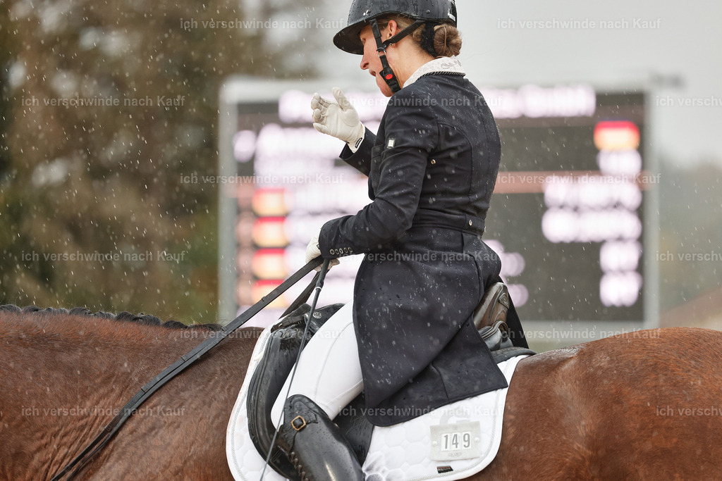 8_2-149-DRESSUR S_  -StoibPH-4489 | working equitationturnier fotograf videograf stoibphotography marixx film working equitation deutschland reitsport turnierfotografie eventfotografie equestrian events