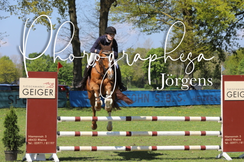 IMG_4977 | photographesa-joergens - Realisiert mit Pictrs.com