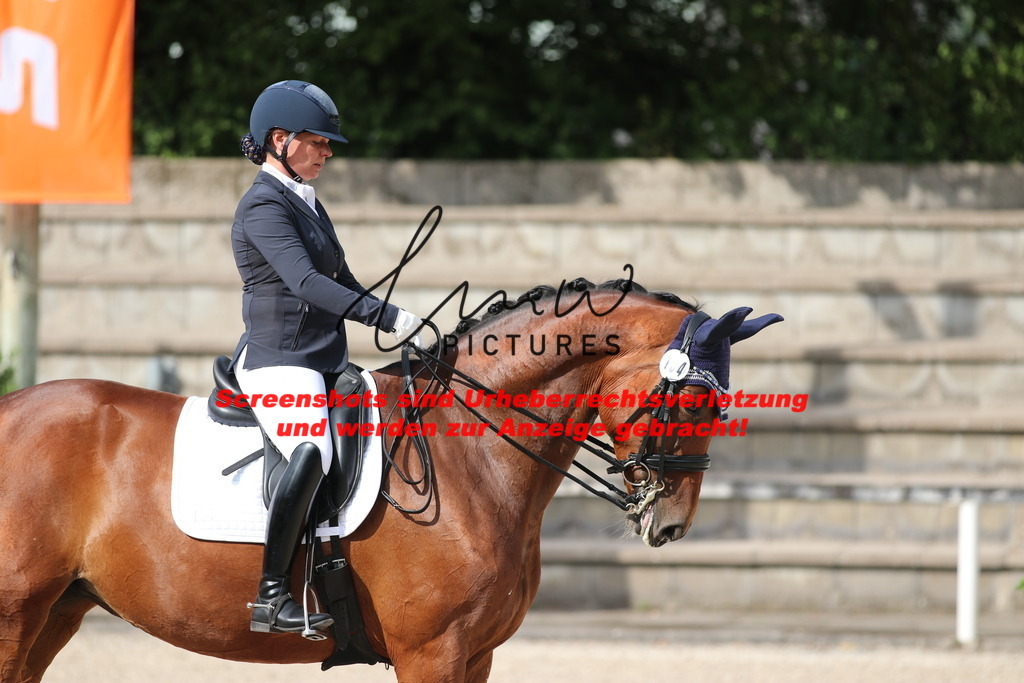 IMG_6506 | lmwpictures - Realisiert mit Pictrs.com