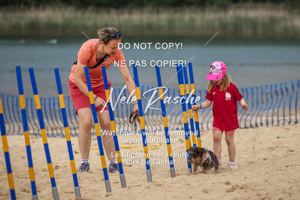 nelerasche_BuHu2026_So1330-1430_234 | nelerasche