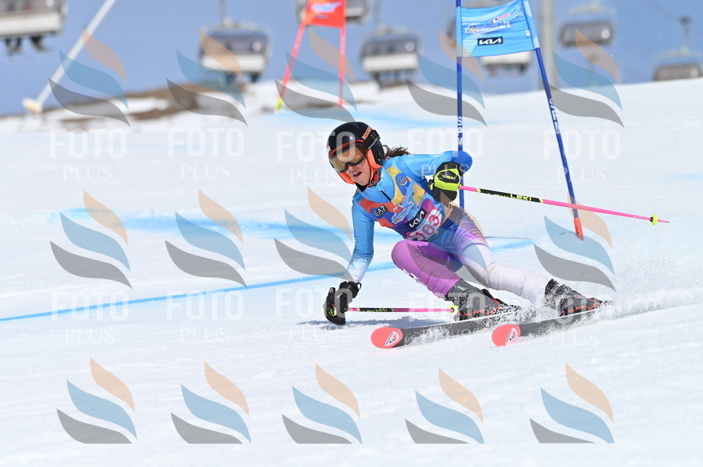 BGV_0319 | holidayphoto