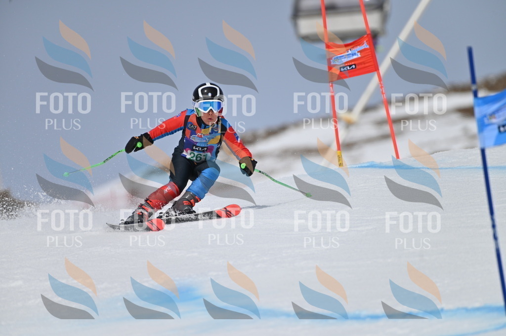 BGV_5175 | holidayphoto