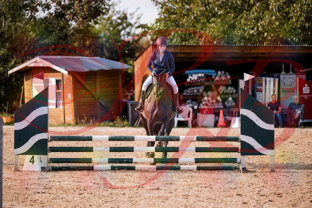 2026_10_03_Siefer-Hof_160119_Z81_82002266 | Professionelle Reitsport-, Turnier- und Eventfotografie von Robert Broda. Galerien mit ausgewählten und bearbeiteten Bildern direkt online ansehen und bestellen.