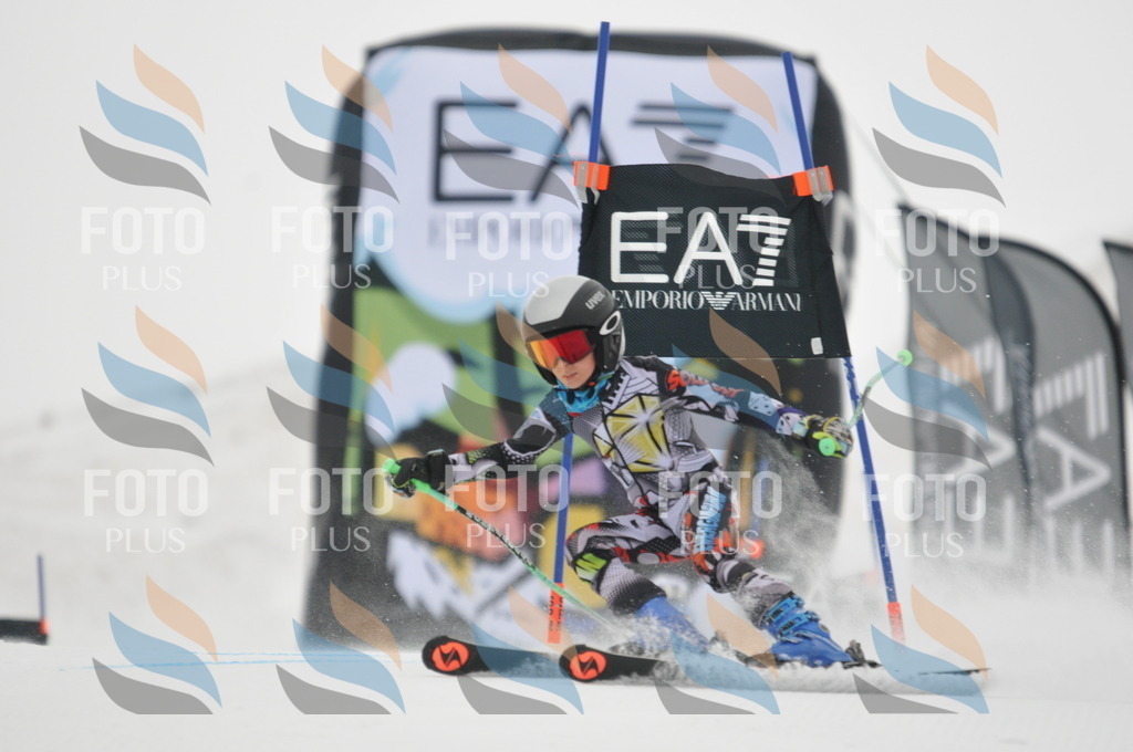 DSC_7309 | holidayphoto