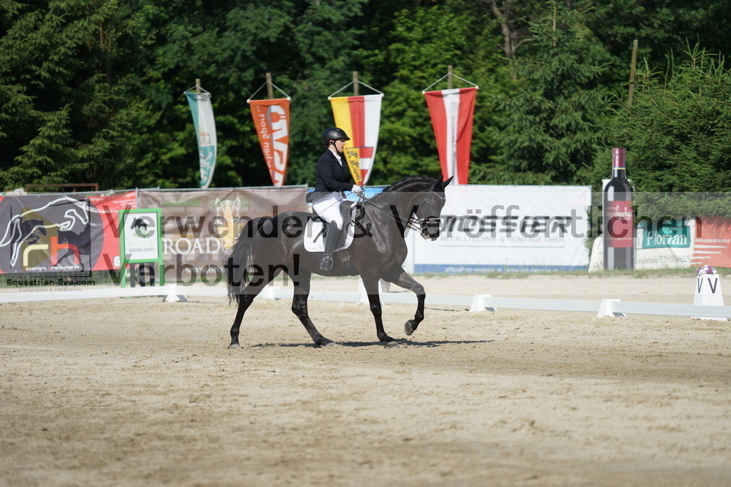 DSC02936 | equestrian-live-com