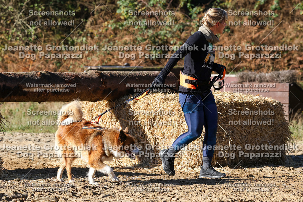 Dog Paparazzi - Strongdog 10-25-2190 | Dog Paparazzi Jeanette Grottendiek Fotografie & Videografie - Realisiert mit Pictrs.com