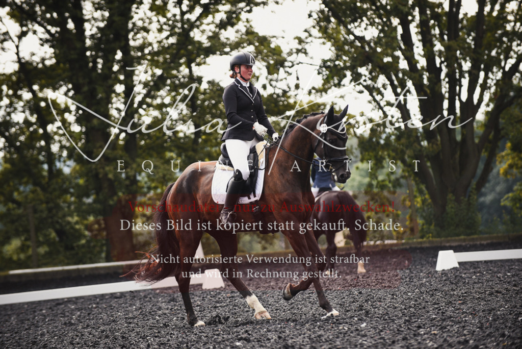 DSC_3735 | Pferde- und Turnierfotografie in Westsachsen. Pferdeportraits, Auftragszeichnungen und intuitive Kunst.