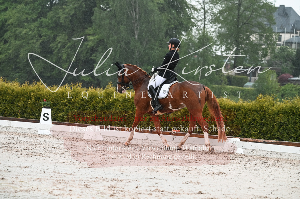 DSC_4607 | Pferde- und Turnierfotografie in Westsachsen. Pferdeportraits, Auftragszeichnungen und intuitive Kunst.