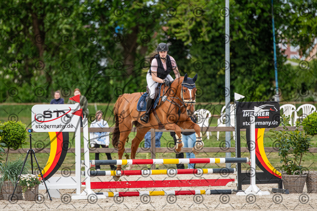 KPT_7354 | andre_photographic