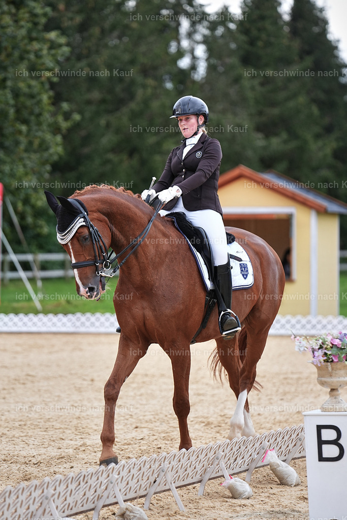 3-210-Dressur M_-Marixx-1977 | working equitationturnier fotograf videograf stoibphotography marixx film working equitation deutschland reitsport turnierfotografie eventfotografie equestrian events