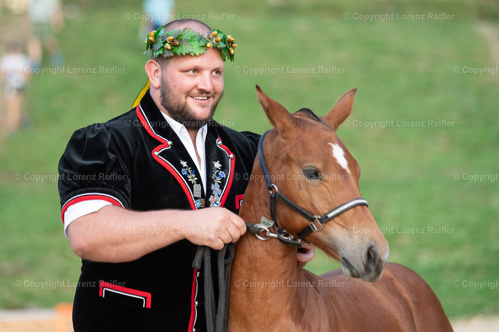 Schwingen -  Schwägalpschwinget 2023 | Schwägalp, 20.8.23, Schwingen - Schwägalpschwinget.