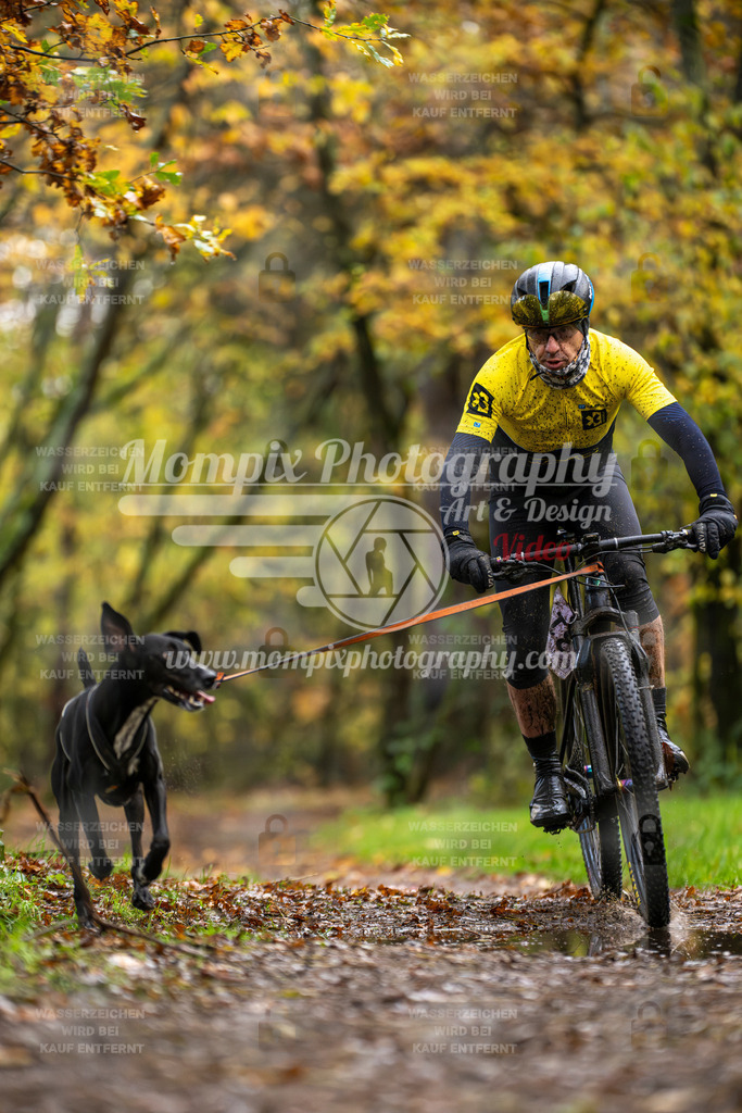 MompixPhotography_Bischwiller23_Bike-2 | PayLife