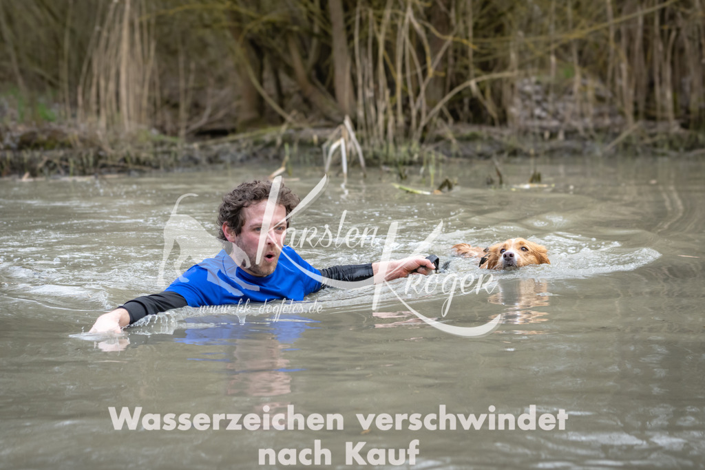 1428_ZZ99127 | kk-dogfotos