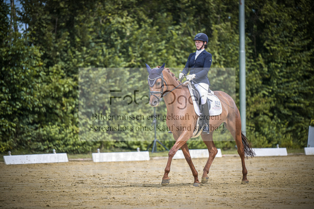 DOS_2413 | Entdecke hochwertige Reitturnierfotos von Foto Oger. Professionell, emotional und authentisch – jetzt Lieblingsmomente im Shop bestellen. - Realisiert mit Pictrs.com