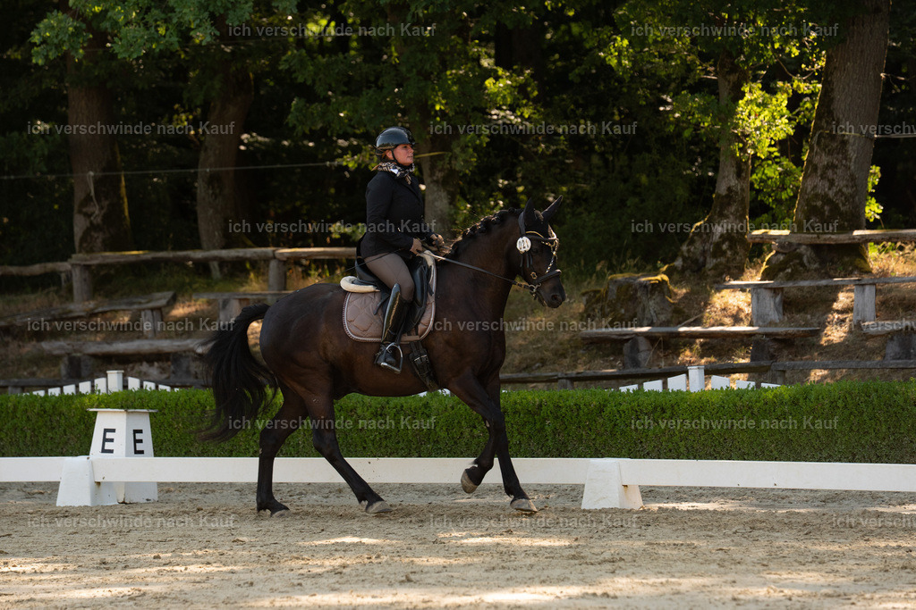 WA_DR_21_SinaFilmArt_IN01272 | working equitationturnier fotograf videograf stoibphotography marixx film working equitation deutschland reitsport turnierfotografie eventfotografie equestrian events