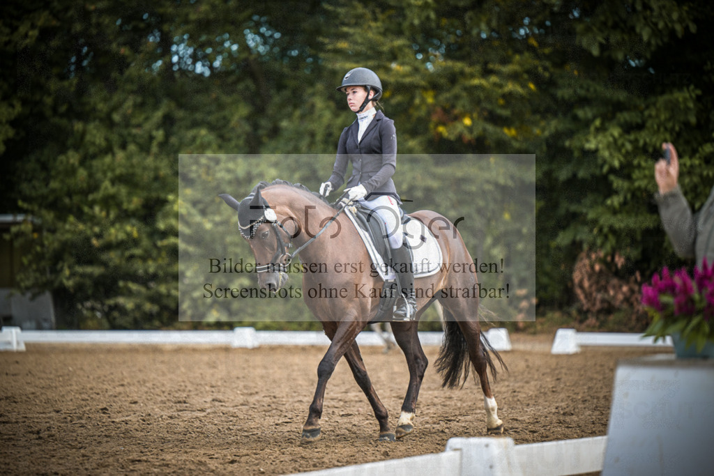 DOS_2192 | Entdecke hochwertige Reitturnierfotos von Foto Oger. Professionell, emotional und authentisch – jetzt Lieblingsmomente im Shop bestellen.Deutschlandweite Turnierfotografie. - Realisiert mit Pictrs.com
