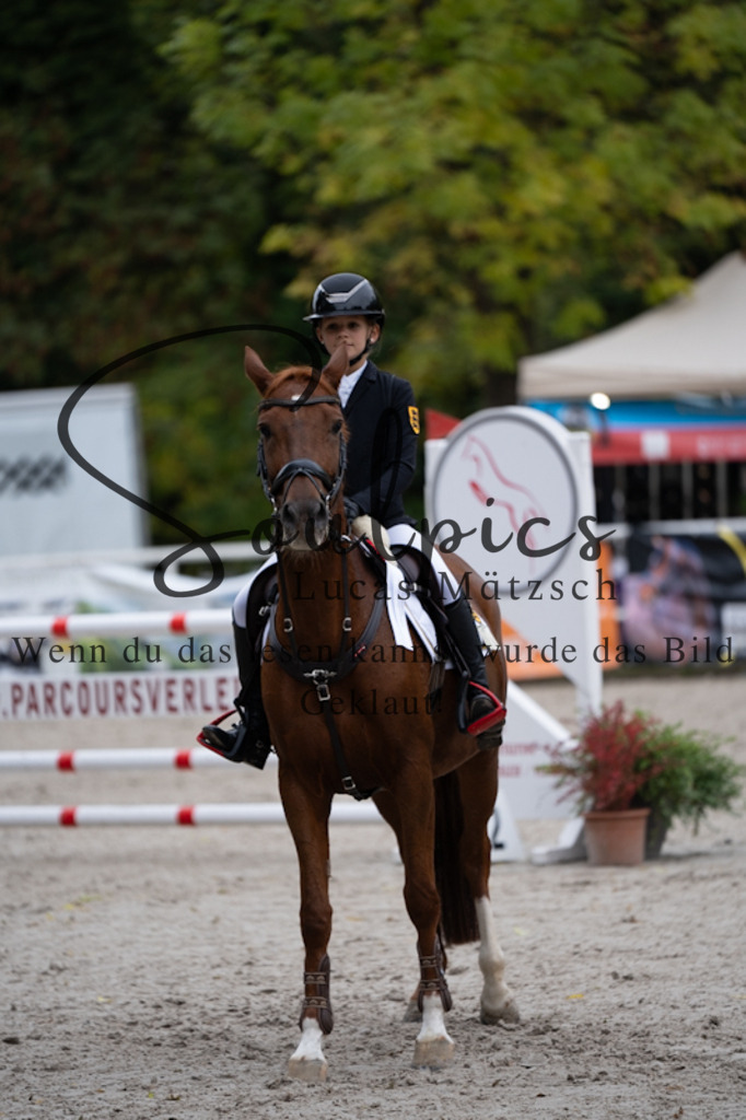 A7V00342 | Turnier/Reitfotograf