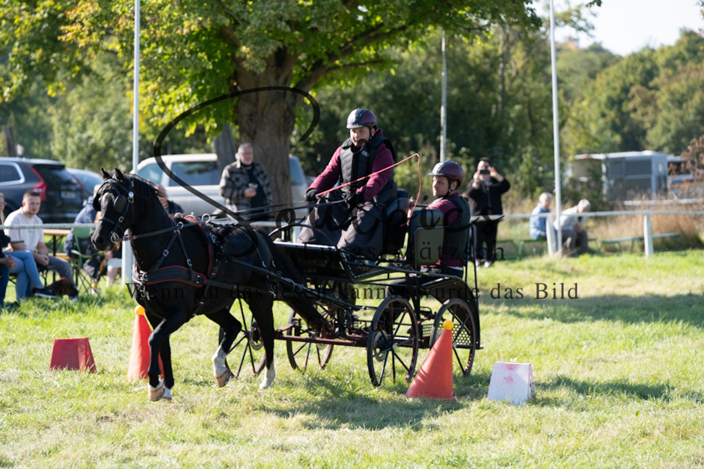 A7V04339 | Pferdefotograf
