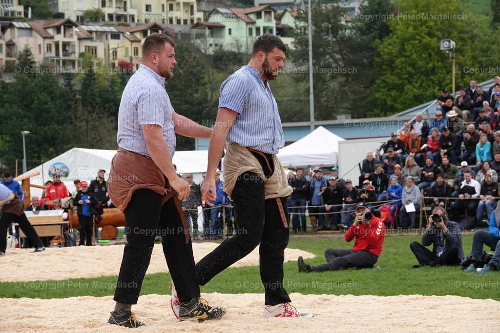 DSC03219 | Schwingen - Realisiert mit Pictrs.com