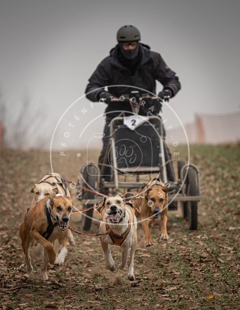 Pfotenfotografie_DV3A4330 | Hundefotografie, Tierfotograf, Pfotenfotografie, Fotoshooting Hund, Hunde Portrait, Hundesport, Hundeportraits, Heideshooting, Hunde, Sportfotograf, Hundefotograf, Turnierhundsport, THS,  - Realisiert mit Pictrs.com