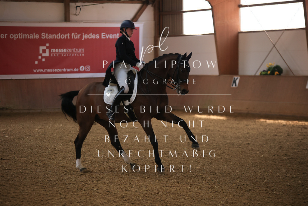 IMGT4035 | pl-fotografie