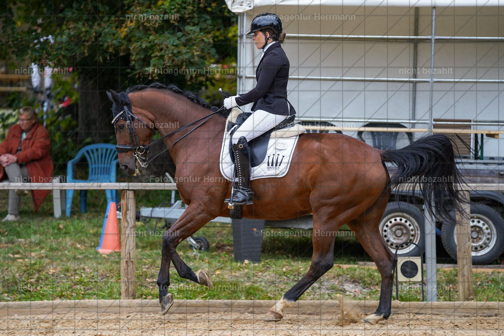 20231007-SN_00992 | Professionelle Turnier- und Reitsportfotografie - mit dem Finger am Auslöser. Pferdebilder aus dem Reitsport von den Turnierfotografen  Bayern , Pferdefotograf Bayern, Pferdeshooting Turnierbilder, Hochzeitsfotograf, Eventfotograf, Hochzeitsbilder