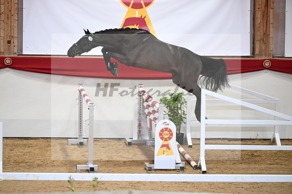 Kat.-Nr. 32 v. Monator vd Radstake_Schep_2251218 | hf-fotografie - Realizzato con Pictrs.com