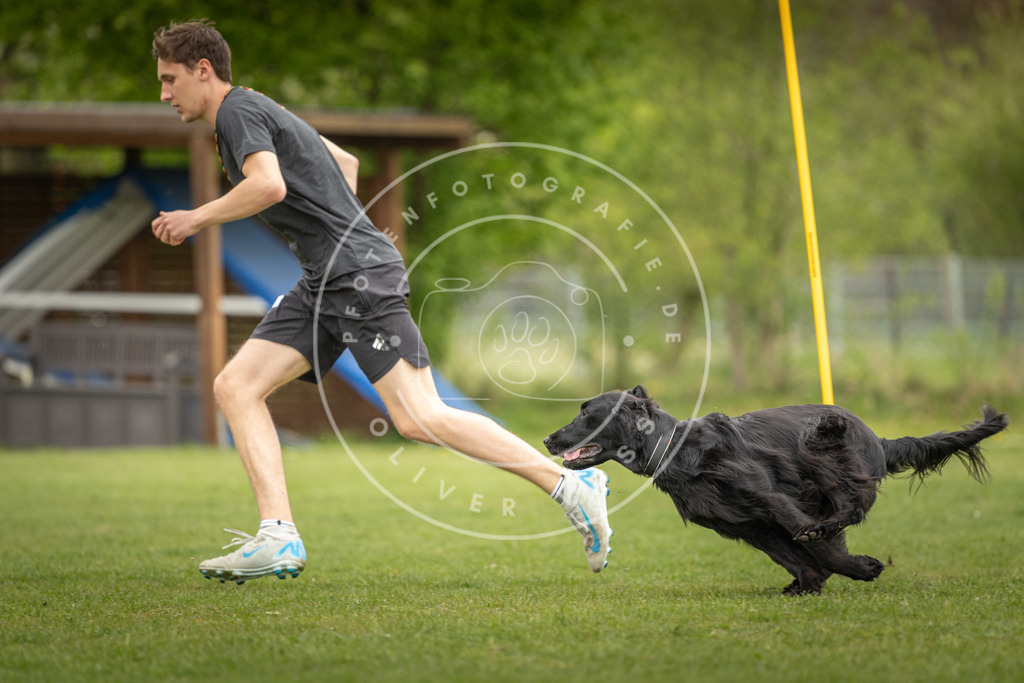 Pfotenfotografie_DV3A9782 | Hundefotografie, Tierfotograf, Pfotenfotografie, Fotoshooting Hund, Hunde Portrait, Hundesport, Hundeportraits, Heideshooting, Hunde, Sportfotograf, Hundefotograf, Turnierhundsport, THS,  - Realisiert mit Pictrs.com