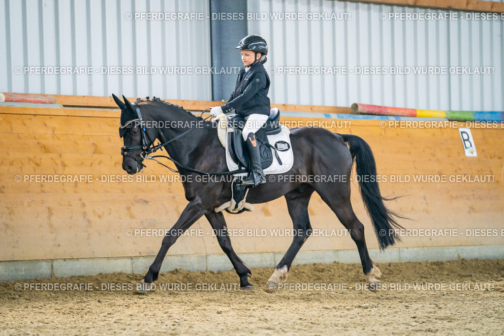 DSC04666 | Pferdegrafie