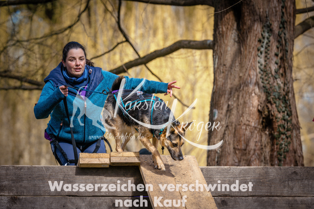 1036_ZZ97835 | kk-dogfotos