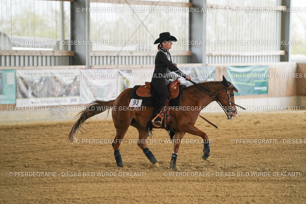 DSC07183 | Pferdegrafie