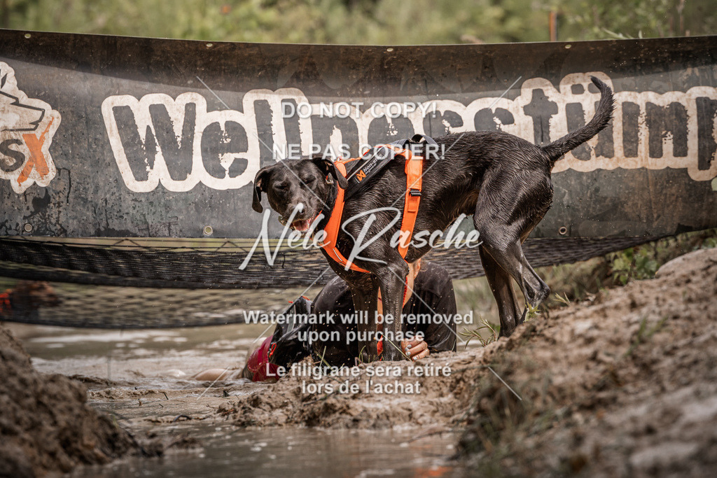 nelerasche_Hoope2026_Sa1100-1130_02 | nelerasche