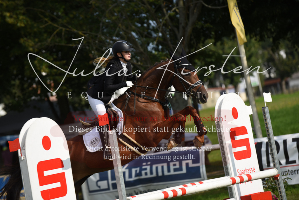 DSC_8787 | Pferde- und Turnierfotografie in Westsachsen. Pferdeportraits, Auftragszeichnungen und intuitive Kunst.