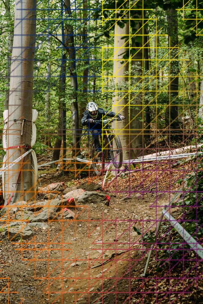 PAE-1486 | Einzigartige Fotokunst für dein Zuhause: Entdecke hochwertige Wandbilder, edle Prints und emotionale Motive von Wildlife, Natur und Landschaften - Realisiert mit Pictrs.com