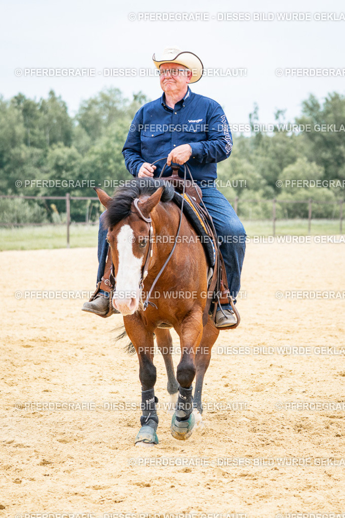 DSC06927 | Pferdegrafie