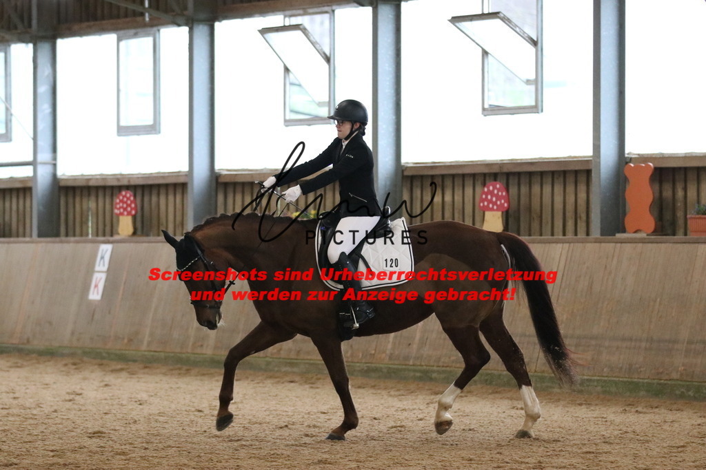 IMG_6374 | lmwpictures - Realisiert mit Pictrs.com