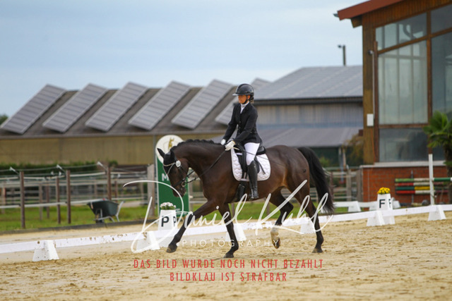 DKP43595 | Turniersportfotografie; Pferdefotografie; Dressurfotografie