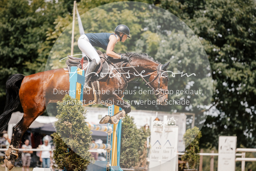 3I6A7876 | Stimmungsvolle Portraits und Reitsportfotografie im Ruhrgebiet und im Münsterland.

Pferdefotografie, Hundefotografie, Tierfotografie, Reportagen, Portraits von Tier und Mensch, Turnierfotografie in Bochum, Recklinghausen, Marl, Haltern am See, Dülmen.. - Realisiert mit Pictrs.com