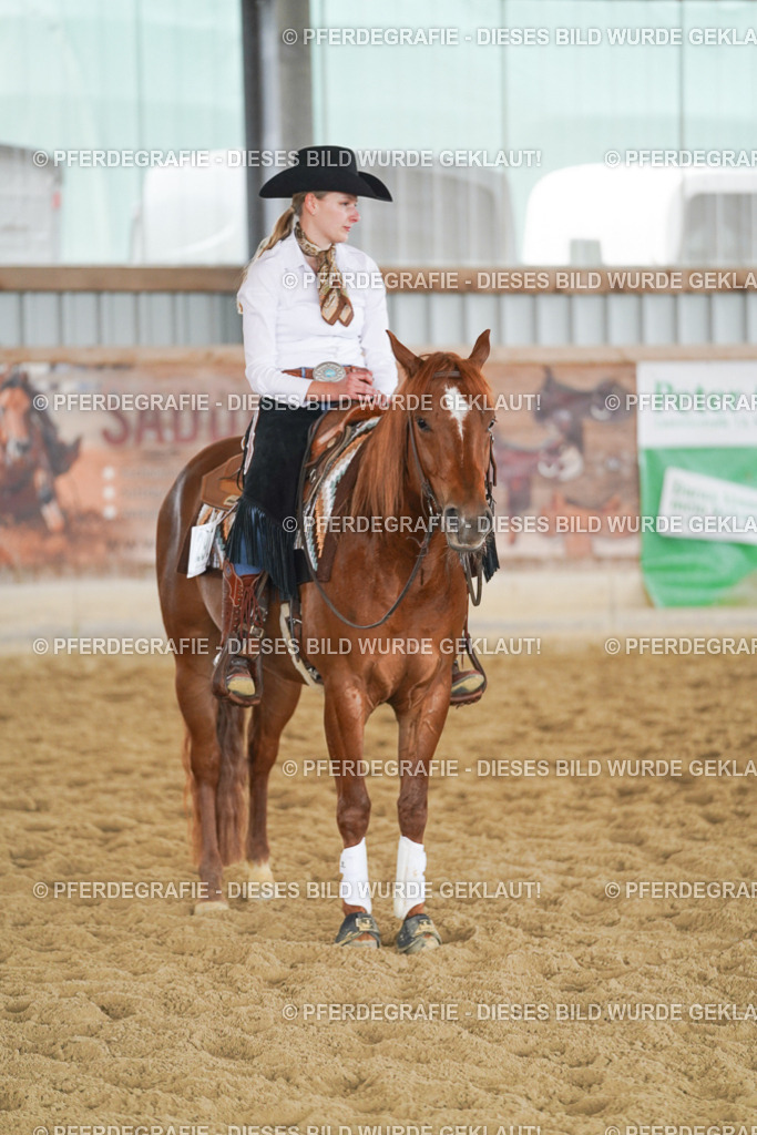 DSC06456 | Pferdegrafie