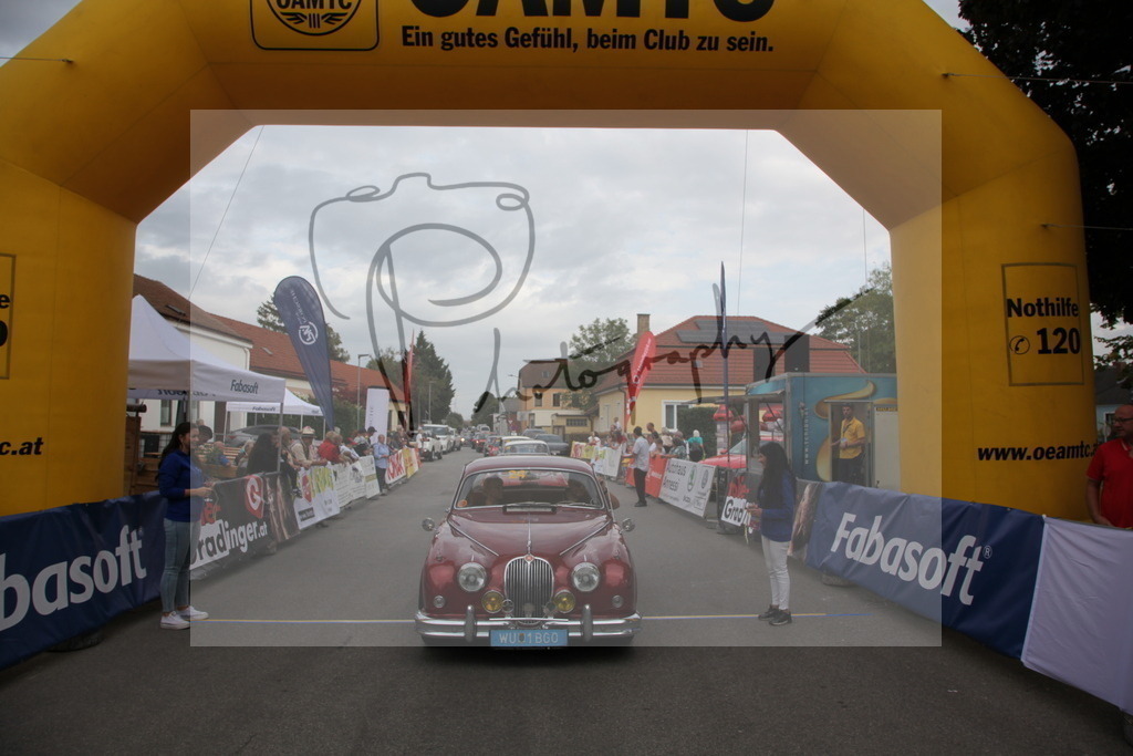 IMG_6077 | Gerhard Witt