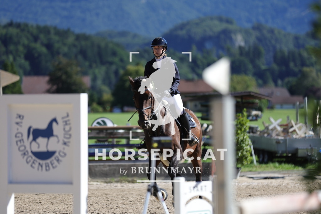 0P6A7017 | Willkommen bei Brunnmayr - Design & Fotografie – Ihrem Spezialisten für Reitturniere und Pferdeveranstaltungen in Oberösterreich, Salzburg und Bayern! Seit über 17 Jahren sind wir leidenschaftlich dabei.