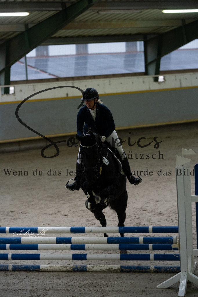 A7V00768 | Pferdefotograf